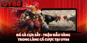 Đá Gà UY88 Trực Tiếp Mỗi Ngày, Hình Ảnh Sắc Nét Từng Trận - hakotu