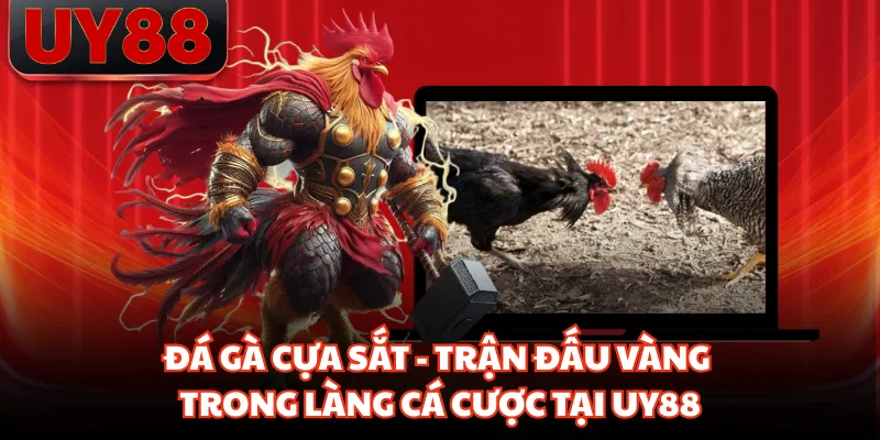 Đá Gà Cựa Sắt - Trận Đấu Vàng Trong Làng Cá Cược Tại UY88 - hakotu