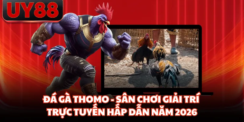 Đá Gà Thomo - Sân Chơi Giải Trí Trực Tuyến Hấp Dẫn Năm 2026 - hakotu