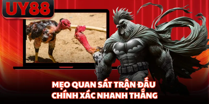 Đá Gà UY88 Trực Tiếp Mỗi Ngày, Hình Ảnh Sắc Nét Từng Trận - hakotu