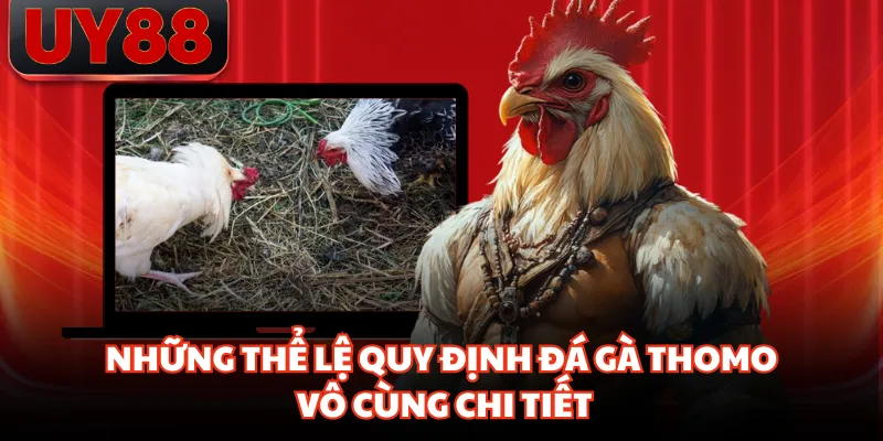 Đá Gà Thomo - Sân Chơi Giải Trí Trực Tuyến Hấp Dẫn Năm 2026 - hakotu
