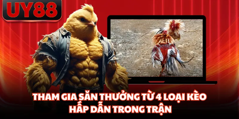 Đá Gà Cựa Sắt - Trận Đấu Vàng Trong Làng Cá Cược Tại UY88 - hakotu