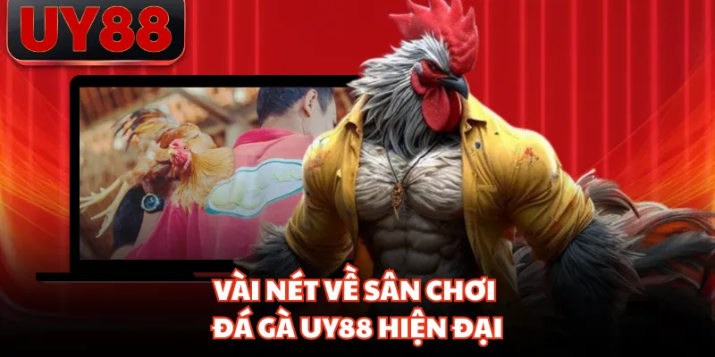 Đá Gà UY88 Trực Tiếp Mỗi Ngày, Hình Ảnh Sắc Nét Từng Trận - hakotu